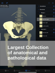 Dornheim Anatomy Screenshot 1