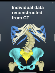 Dornheim Anatomy Screenshot 2