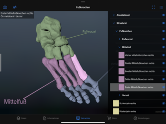 Dornheim Anatomy Screenshot 4