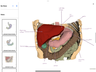 Dornheim Anatomy Screenshot 6